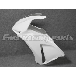 RENNVERKLEIDUNGSSATZ GFK CBR 1000 12-13