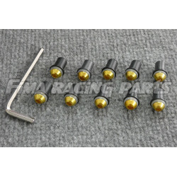10 Schrauben für Verkleidungsscheibe gold inkl Imbus