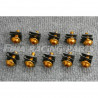 10 M6 Schrauben mit Clips und Mutter gold