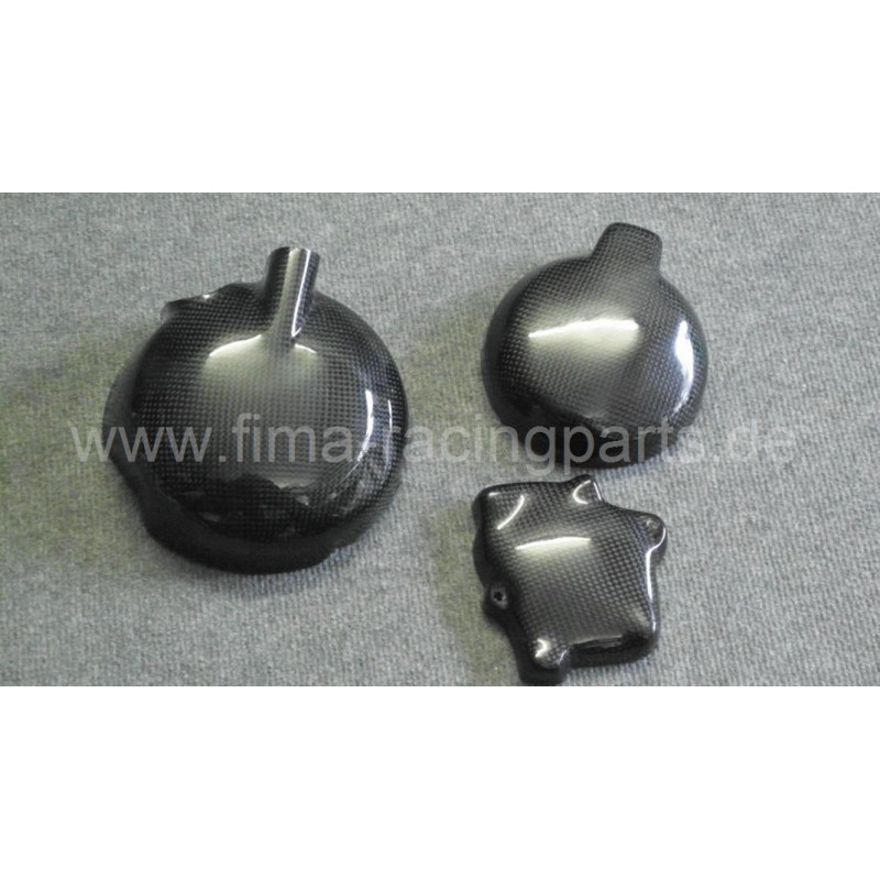 Carbon-Motorschutz komplett ZX6 R 05-06