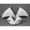 RENNVERKLEIDUNGSSATZ GFK YZF 1000 R1/09-13