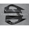 GSX-R 1000 2017 Schwingenschutz A Carbon Suzuki