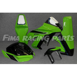 Design 016 Lackierbeispiel Kawasaki