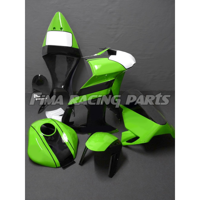 Design 042 Lackierbeispiel Kawasaki