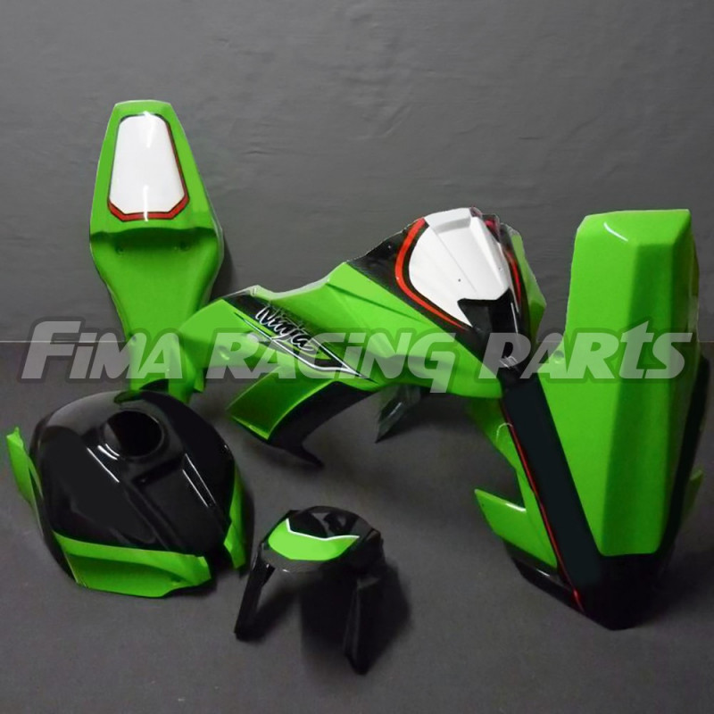 Design 043 Lackierbeispiel Kawasaki