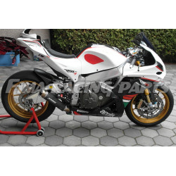 Design 01 Lackierbeispiel Aprillia