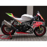 Design 57 Lackierbeispiel Aprilia