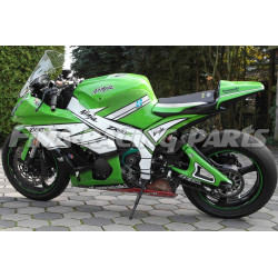 Design 011 Lackierbeispiel Kawasaki