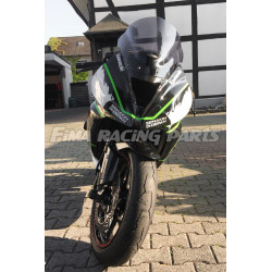 Design 024 Lackierbeispiel Kawasaki