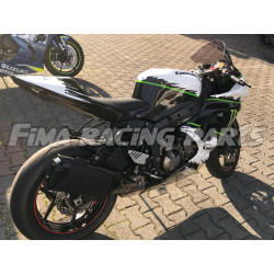 Design 024 Lackierbeispiel Kawasaki