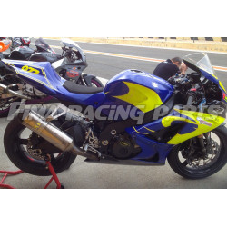 Design 007 Lackierbeispiel Suzuki