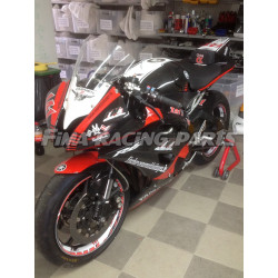 Design 01 Lackierbeispiel Aprillia