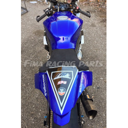 Design 029 Lackierbeispiel Yamaha