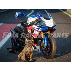 Design 01 Lackierbeispiel Aprillia