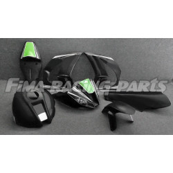 Design 020 Lackierbeispiel Kawasaki