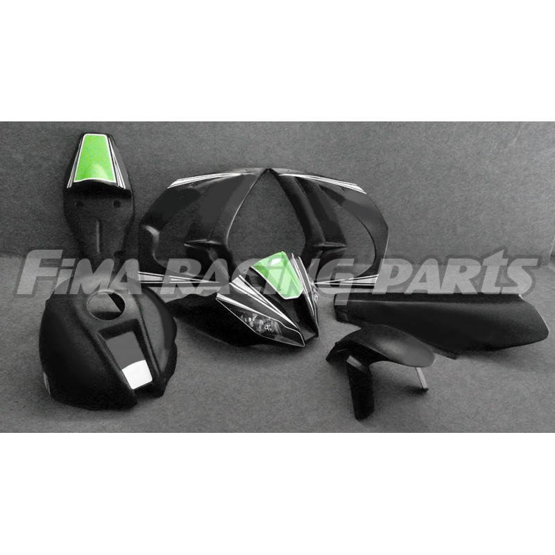 Design 020 Lackierbeispiel Kawasaki