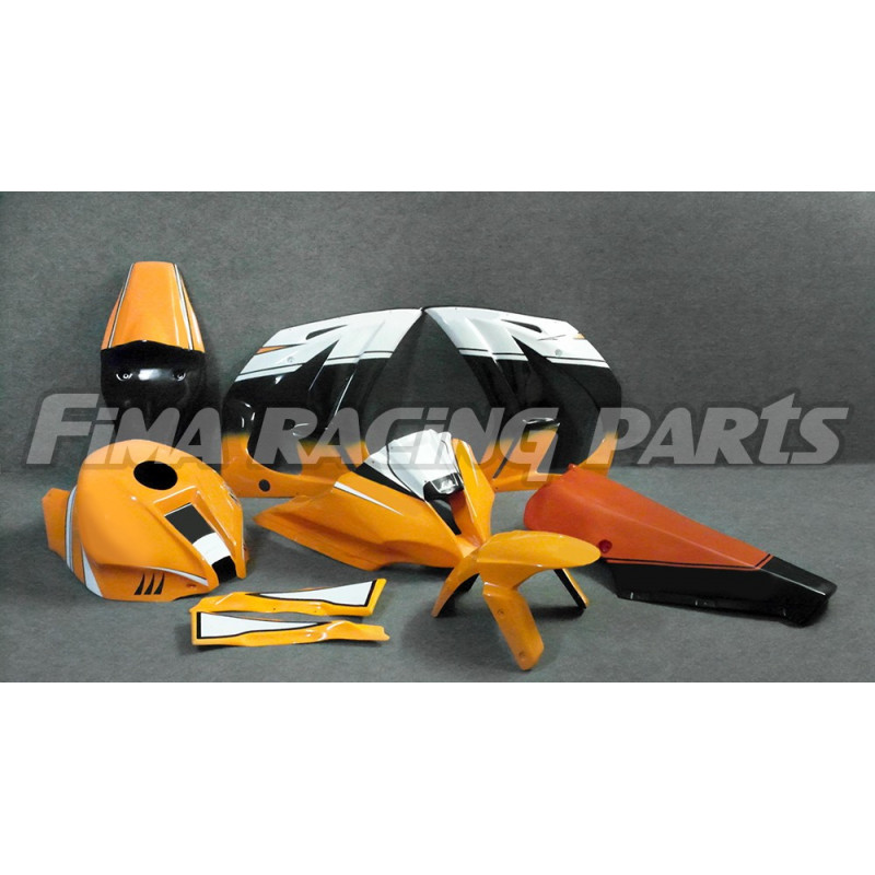 Design 021 Lackierbeispiel Kawasaki