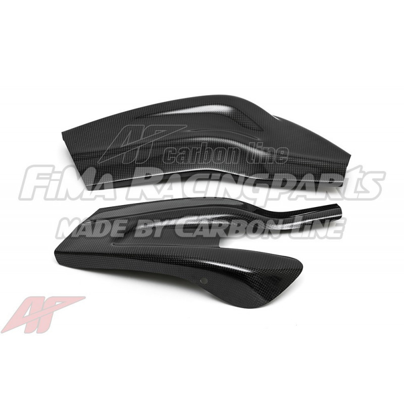 S1000RR 09-18 Autoclave Carbon Schwingenschutz für BMW