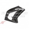 ZX-10R 16-18 Autoclave Carbon Seitenverkleidung für Kawasaki