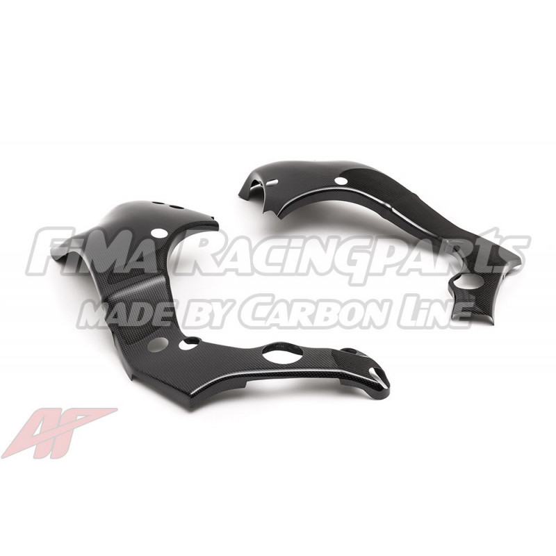 ZX-10R 16-18 Autoclave Carbon Rahmenschoner für Kawasaki
