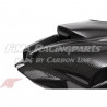ZX-10R 16-18 Autoclave Carbon Frontverkleidung für Kawasaki