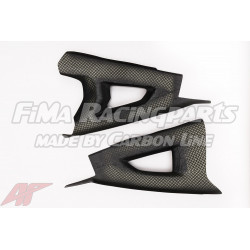 ZX-10R 16-18 Autoclave Carbon Schwingenschutz für Kawasaki