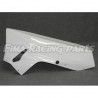 Premium GFK Rennverkleidung Kawasaki ZX6 R 09-12
