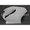 1199 Premium GFK painted racing fairing kit Ducati