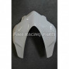 1199 Premium GFK painted racing fairing kit Ducati