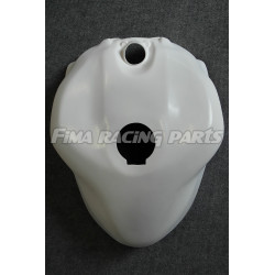 1199 Premium GFK painted racing fairing kit Ducati