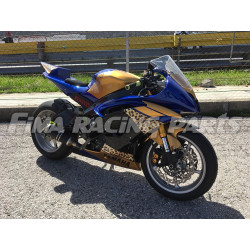 Design 053 Lackierbeispiel Yamaha