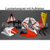 Design 01 Lackierbeispiel Aprillia