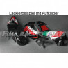 Design 13 Lackierbeispiel Aprilia