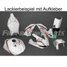 Design 17 Lackierbeispiel Aprilia