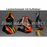 Design 19 Lackierbeispiel Aprilia