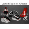 Design 01 Lackierbeispiel Aprillia