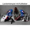 Design 01 Lackierbeispiel Aprillia