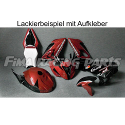 Design 029 Lackierbeispiel BMW