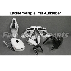 Design 043 Lackierbeispiel BMW