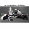 Design 048 Lackierbeispiel BMW