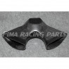 899 1199 Luftkanal Carbon Ducati FIMA