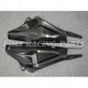 S1000RR 19 Autoclave Carbon Schwingenschutz für BMW