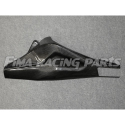 S1000RR 19 Autoclave Carbon Schwingenschutz für BMW