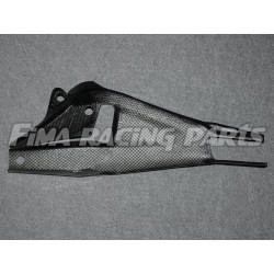 S1000RR 19 Autoclave Carbon Schwingenschutz für BMW