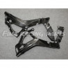 S1000RR 19 Autoclave Carbon Rahmenschoner für BMW