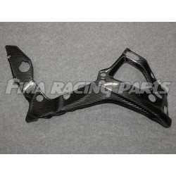 S1000RR 19 Autoclave Carbon Rahmenschoner für BMW