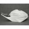 S1000 RR 19 Tankhaube GFK für BMW