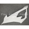 S1000 RR 19 Rennverkleidung GFK für BMW