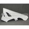 S1000 RR 19 Rennverkleidung GFK für BMW
