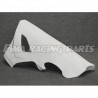 S1000 RR 19 Rennverkleidung GFK für BMW